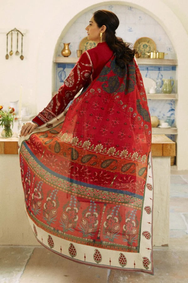 KASHMIR KALI DHANAK-D3-BG508